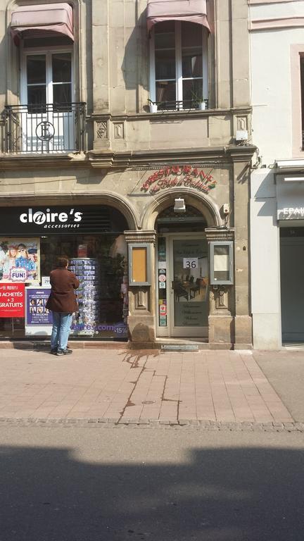 Felicita Vintage Appartements - Colmar City Center Exterior foto